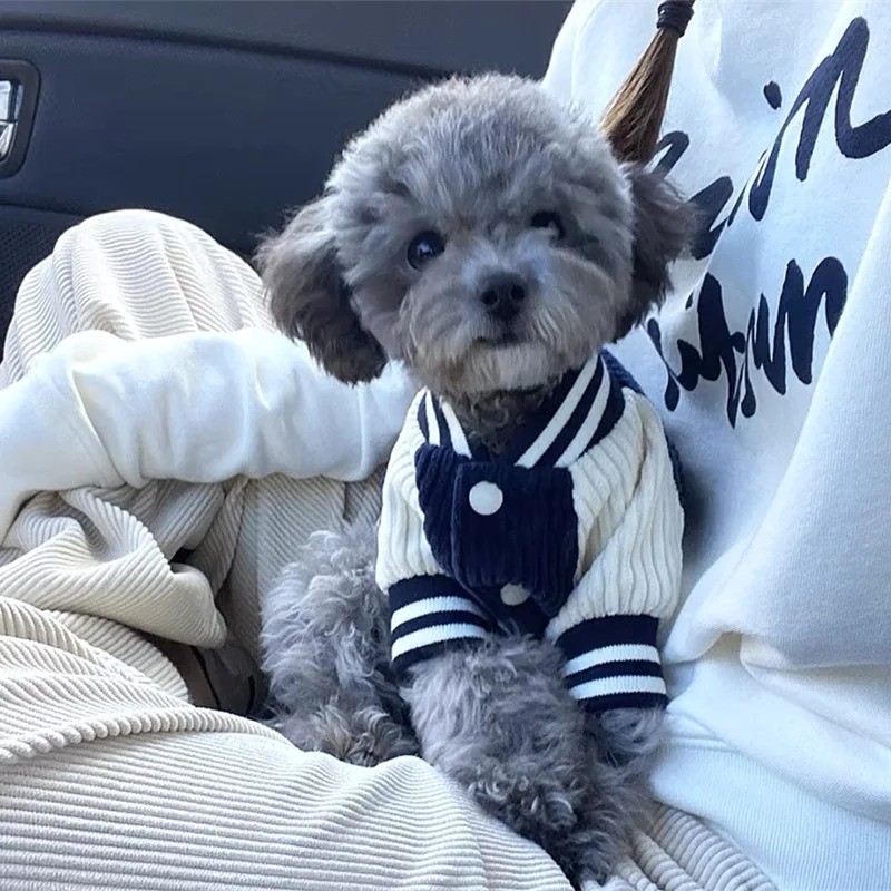 Costume for Dog Clothes Chihua - Baby Clothing Winter recension och pris