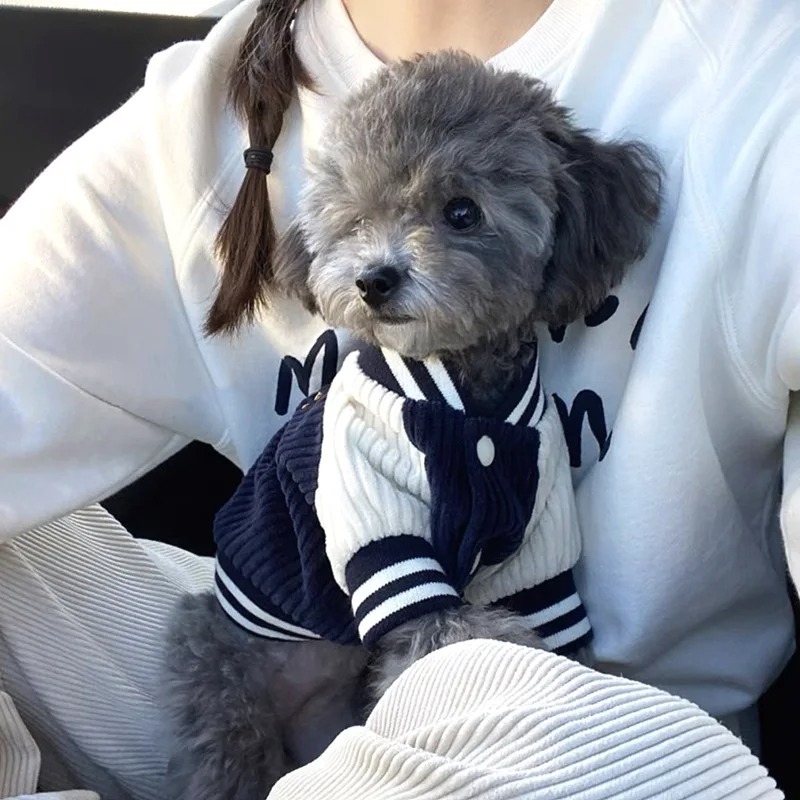 Costume for Dog Clothes Chihua - Baby Clothing Winter recension och pris