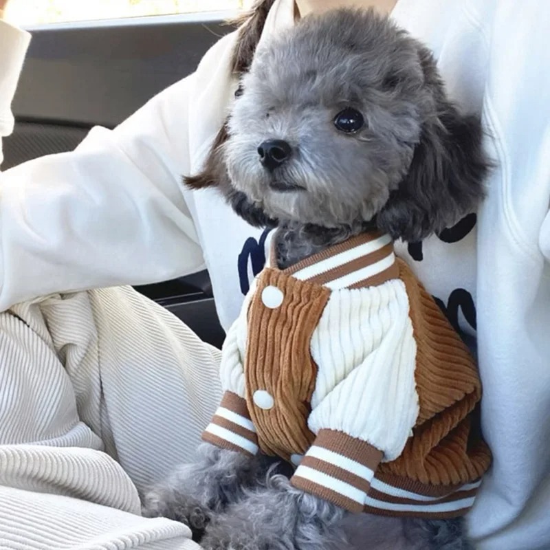 Costume for Dog Clothes Chihua - Baby Clothing Winter recension och pris