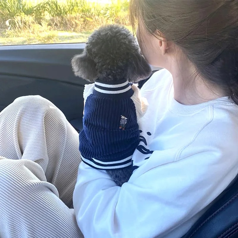 Costume for Dog Clothes Chihua - Baby Clothing Winter recension och pris