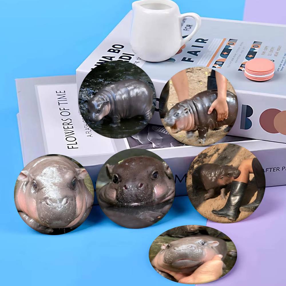 Baby Hippo Moo Deng Badge Tinp - Baby Clothing Japan recension och pris